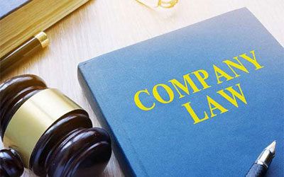 Company Cases